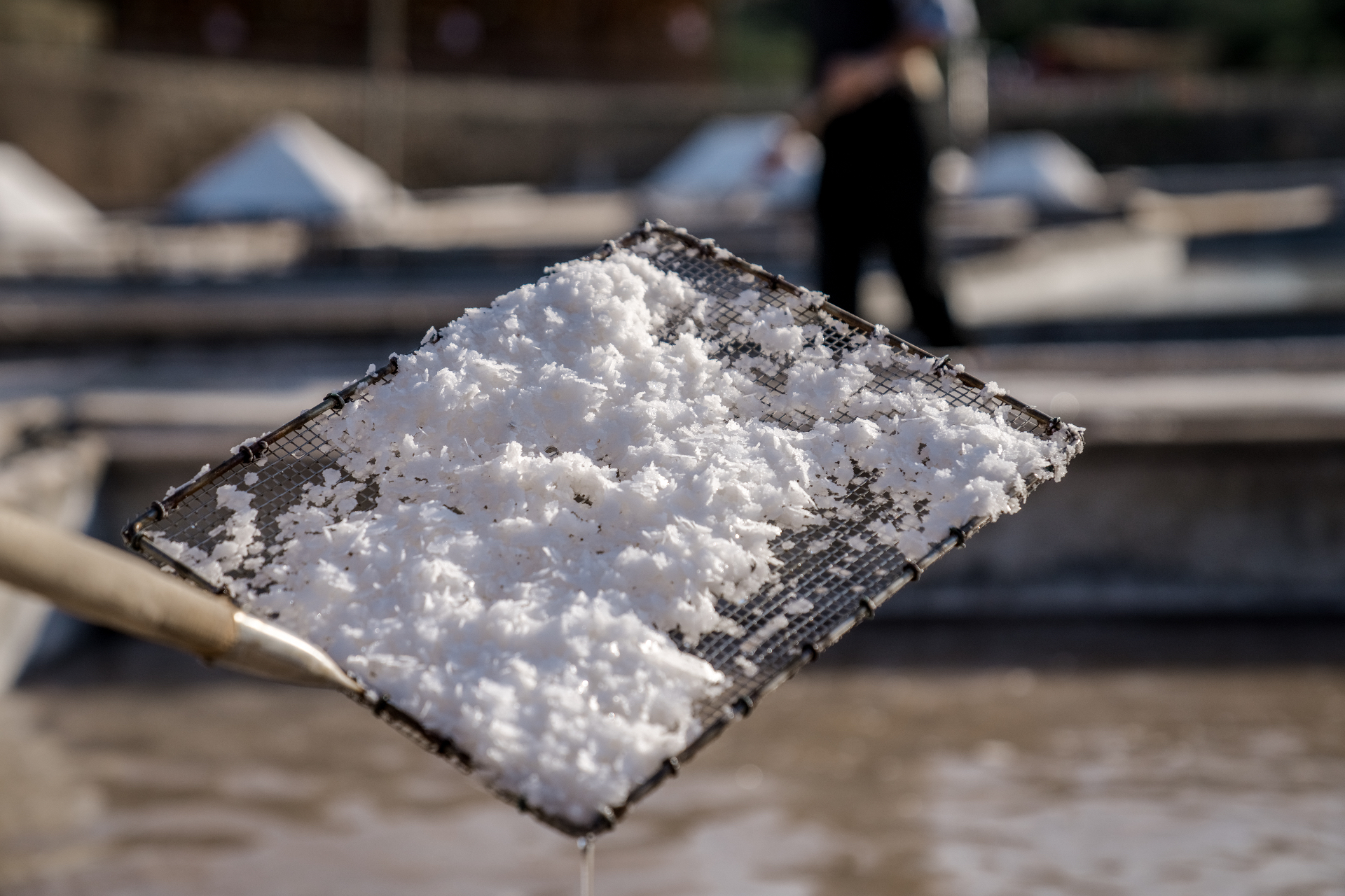 Handgeschöpftes Salz aus den Salinas de Rio Maior